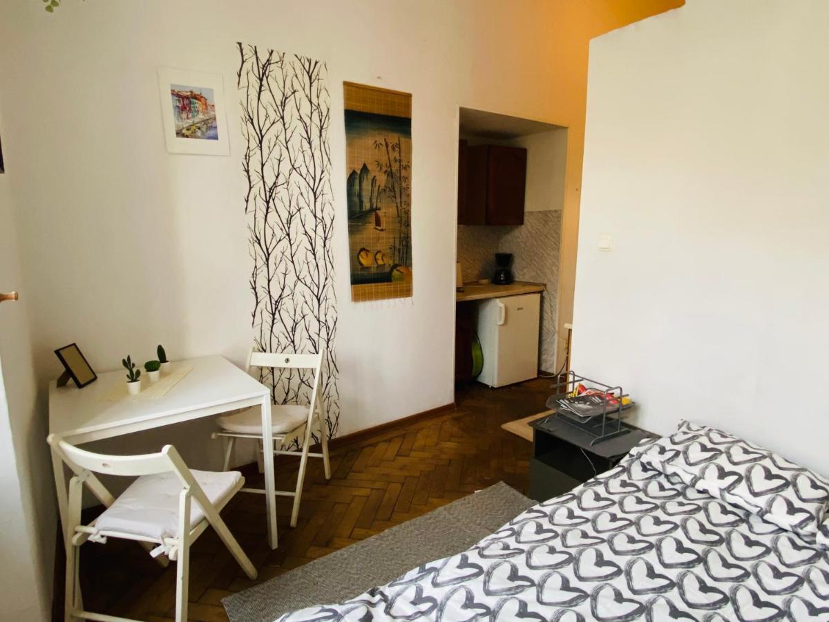 Historic Apartment Krasków Eksteriør bilde